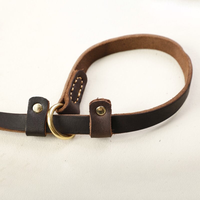 Leather Slip Dog Leash Collar | Streamlined Control
