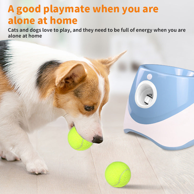 Automatic Tennis Ball Launcher for Pets | Active Fetch