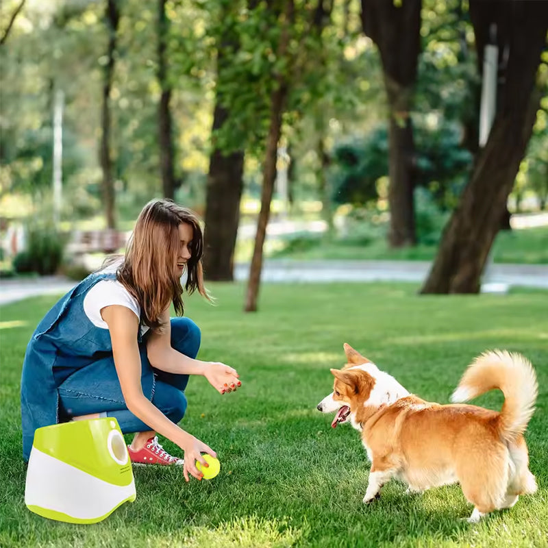 Automatic Tennis Ball Launcher for Pets | Active Fetch