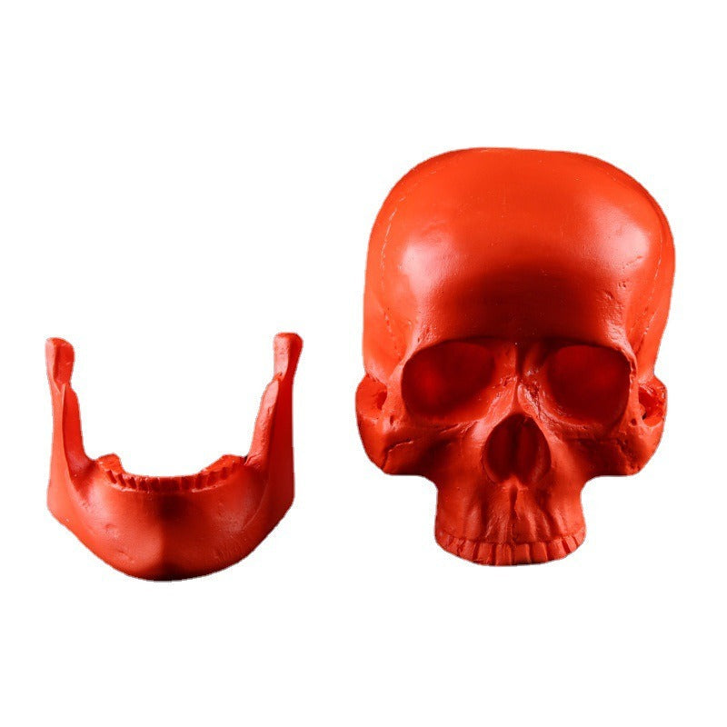 Red Anatomical Skull Ornament for Gothic Home Decor