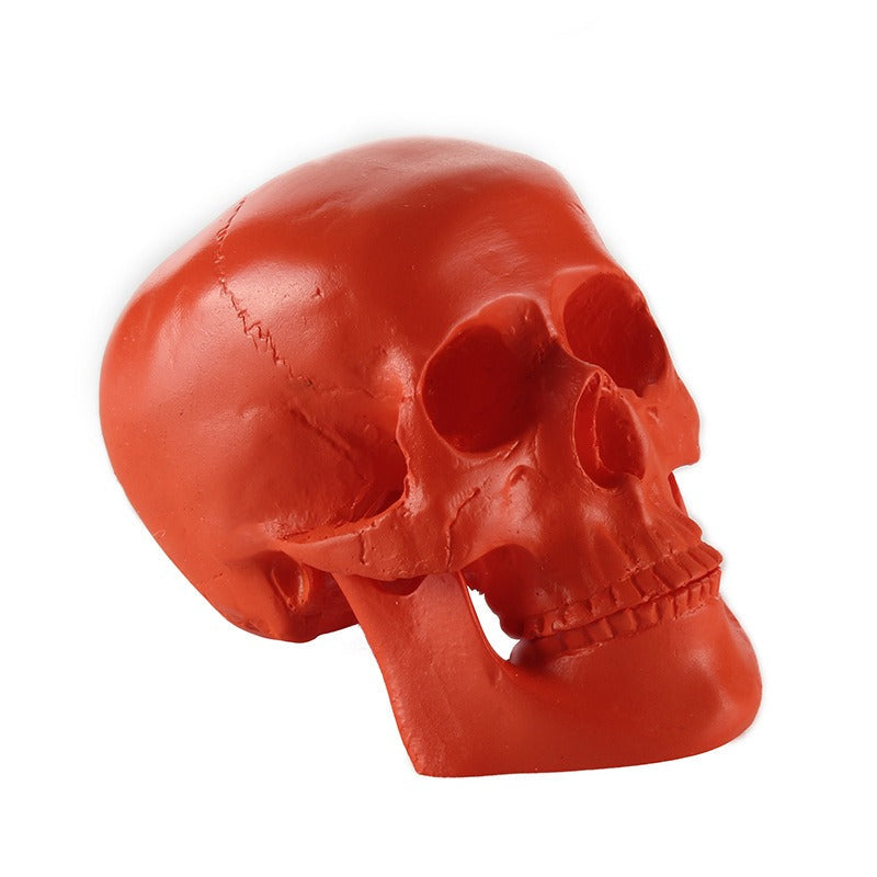 Red Anatomical Skull Ornament for Gothic Home Decor