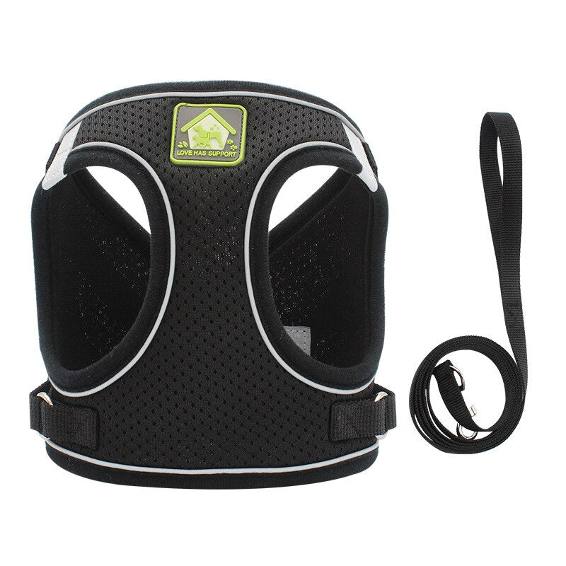 Reflective Cat Harness Leash Set for Safer Outdoor Walks