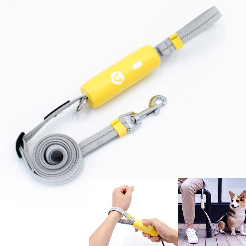 Reflective Elastic Dog Leash for Safer Evening Walks