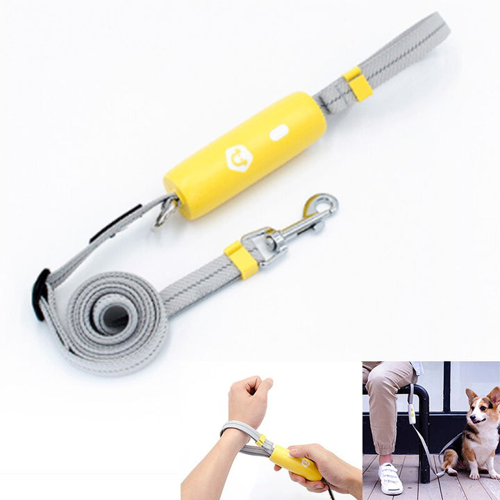 Reflective Elastic Dog Leash for Safer Evening Walks