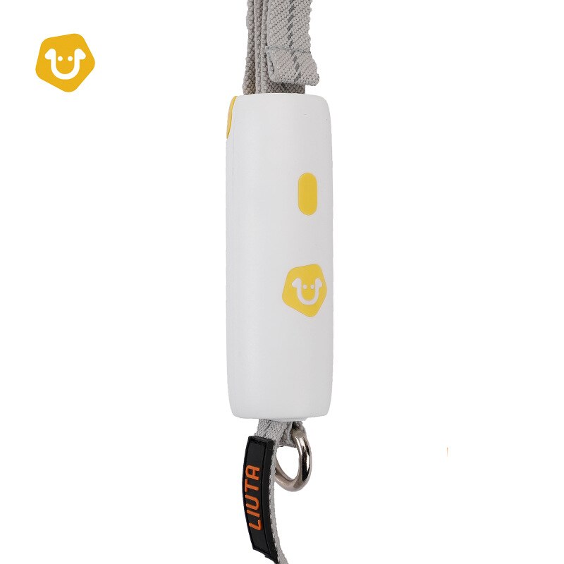 Reflective Elastic Dog Leash for Safer Evening Walks