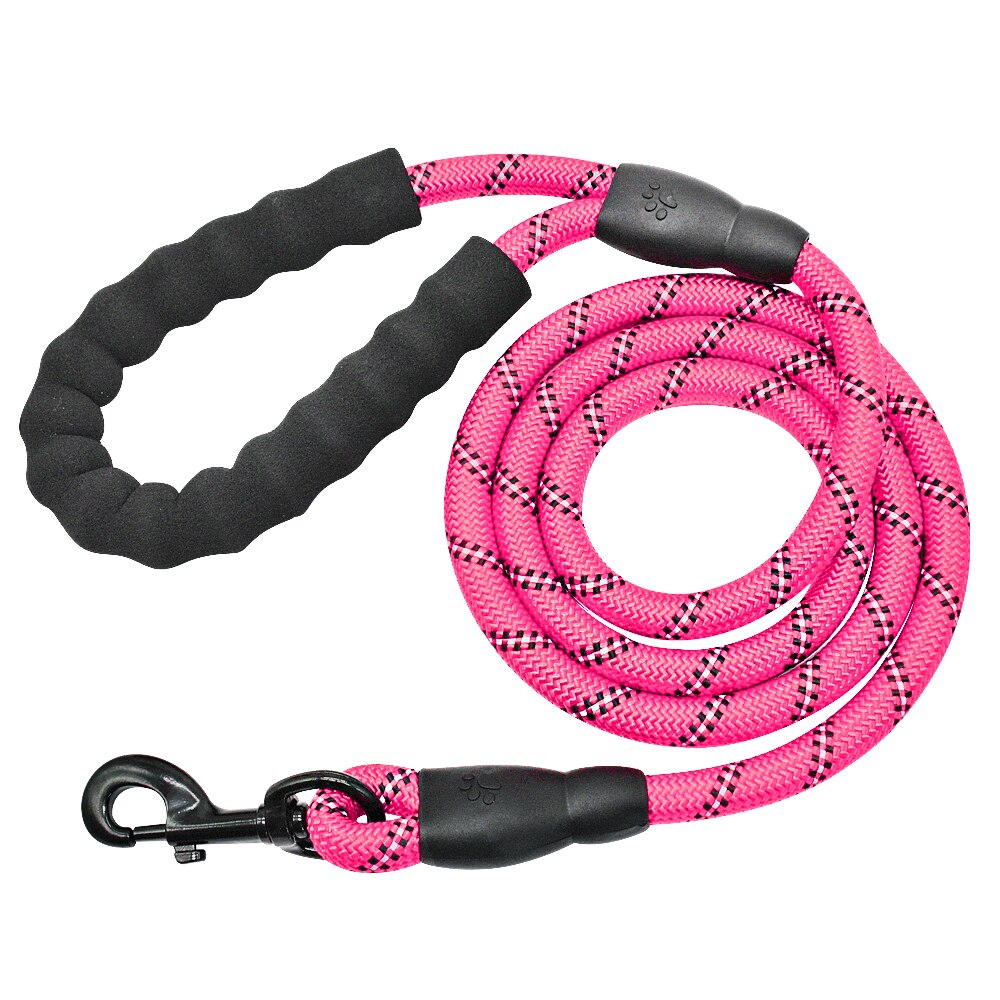 Reflective Dog Leash with Padded Handle for Safer Walks