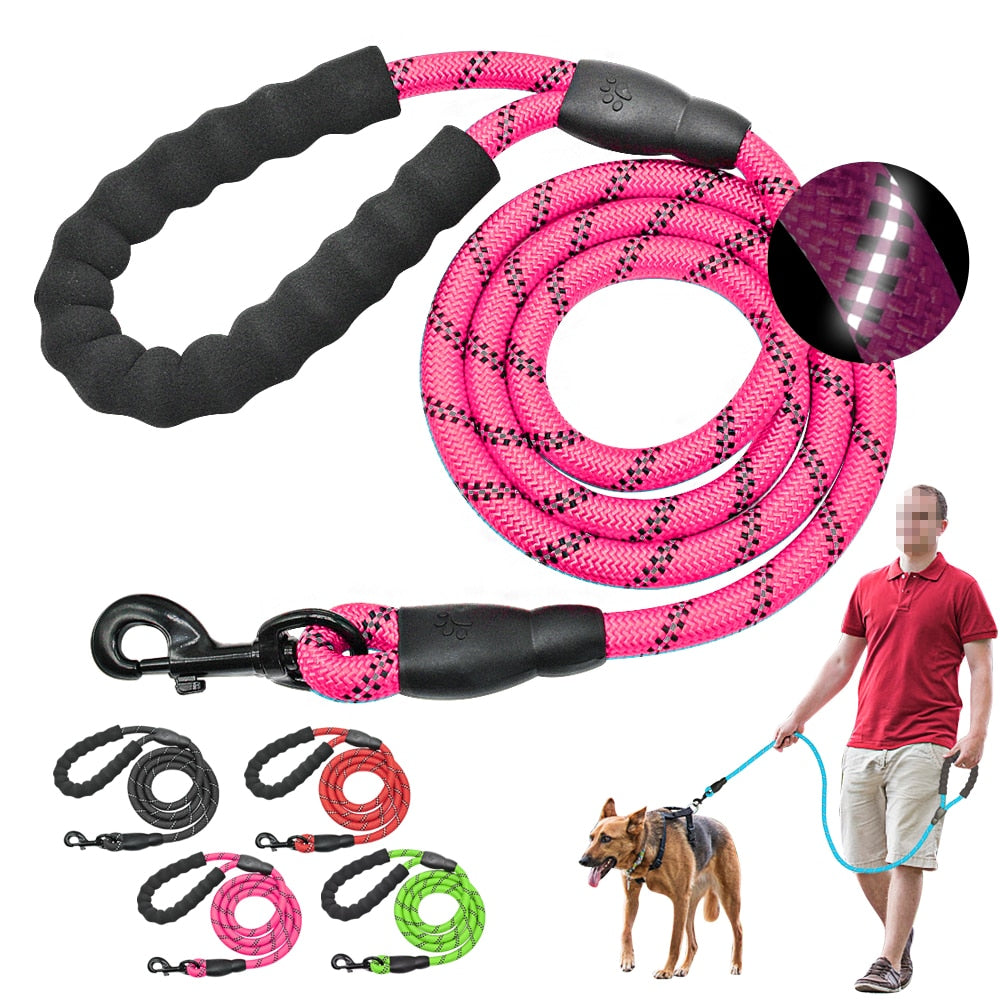 Reflective Dog Leash with Padded Handle for Safer Walks