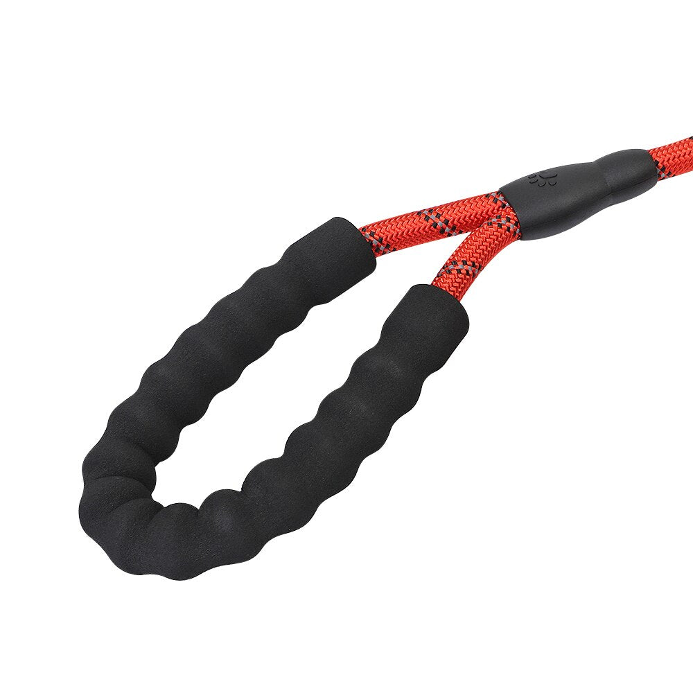 Reflective Dog Leash with Padded Handle for Safer Walks