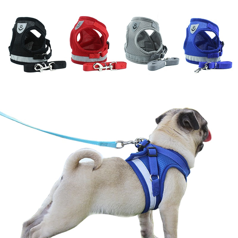 Reflective Dog Harness and Leash Set for Safer Walks