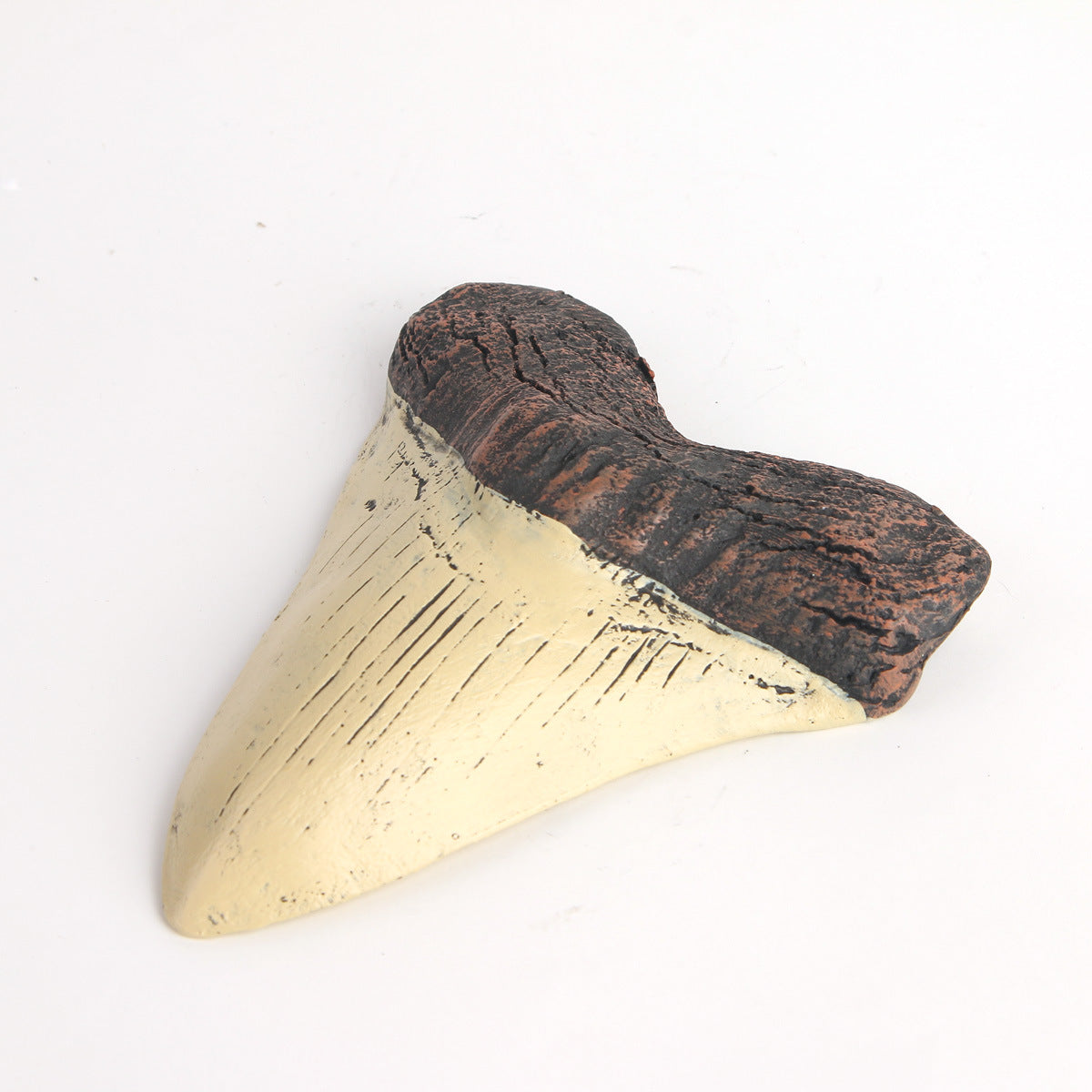 Shark Tooth Sculpture – Bold Ocean-Inspired Home Decor