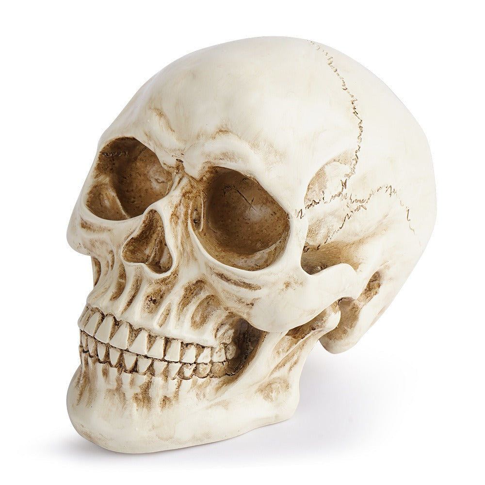 Resin Skull Decor With Realistic Antique Bone Detail