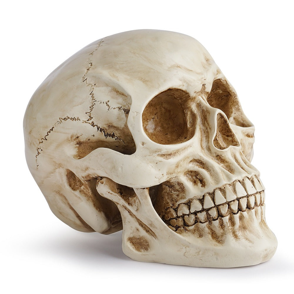 Resin Skull Decor With Realistic Antique Bone Detail