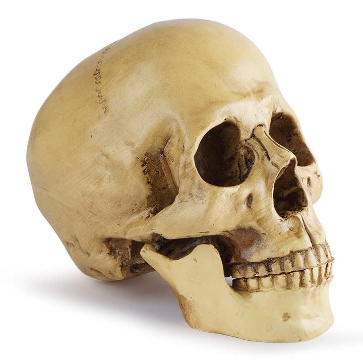 Resin Skull Bar Decor for Dramatic Gothic Displays