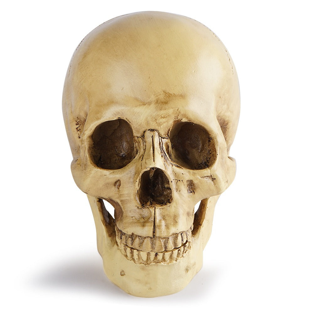 Resin Skull Bar Decor for Dramatic Gothic Displays