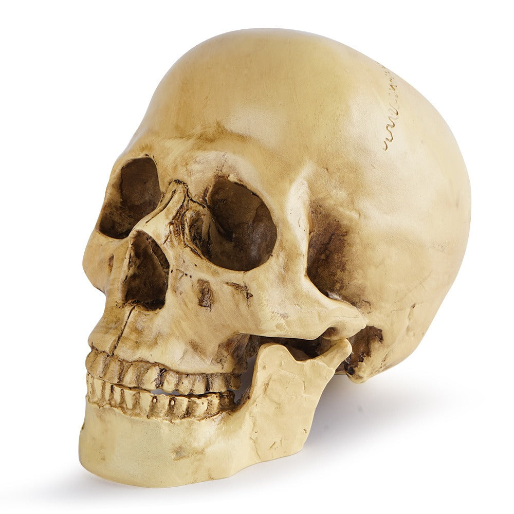 Resin Skull Bar Decor for Dramatic Gothic Displays