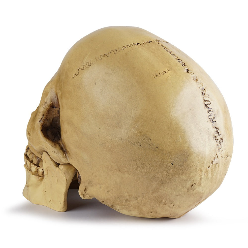 Resin Skull Bar Decor for Dramatic Gothic Displays