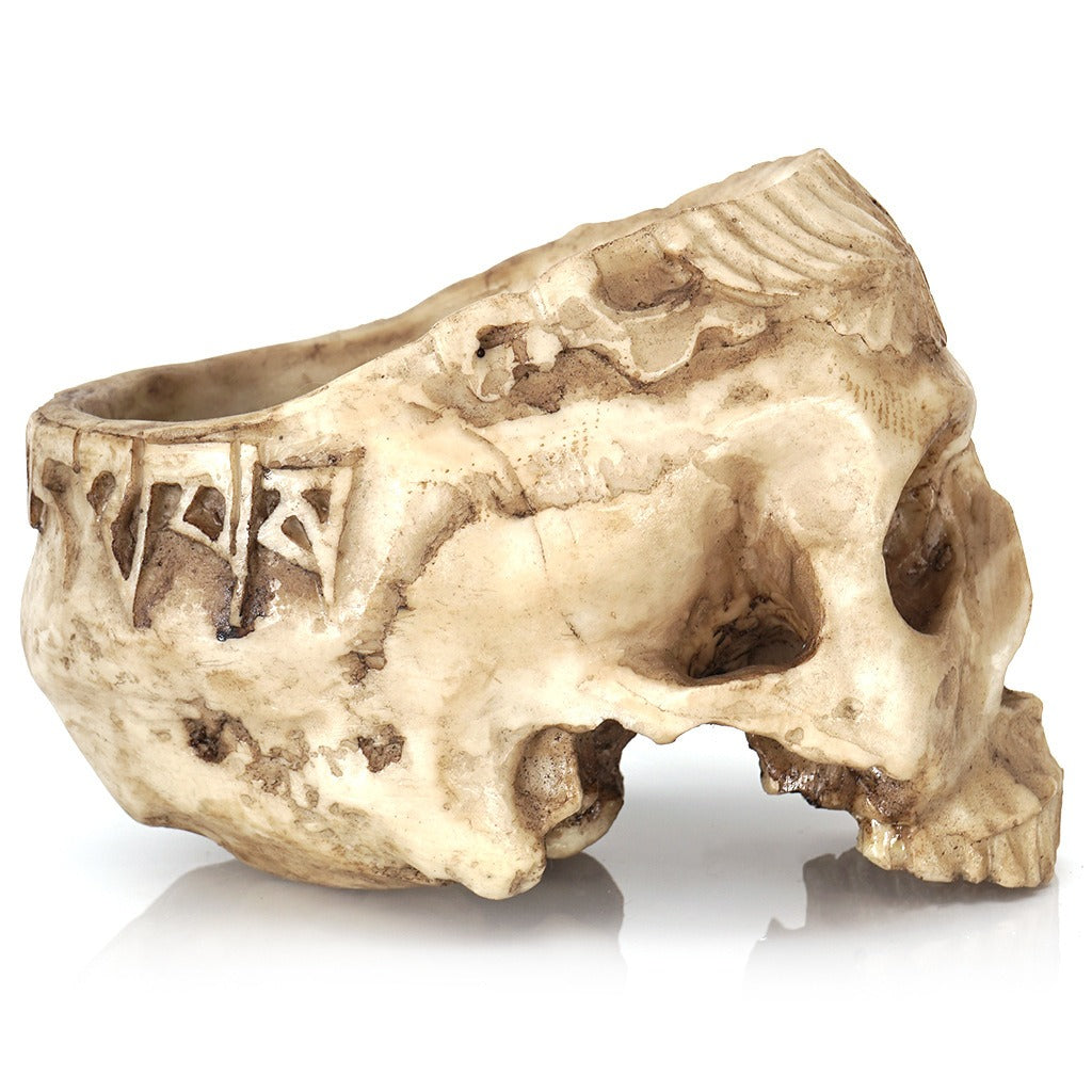 Skull Head Flower Pot for Dramatic Succulent Decor