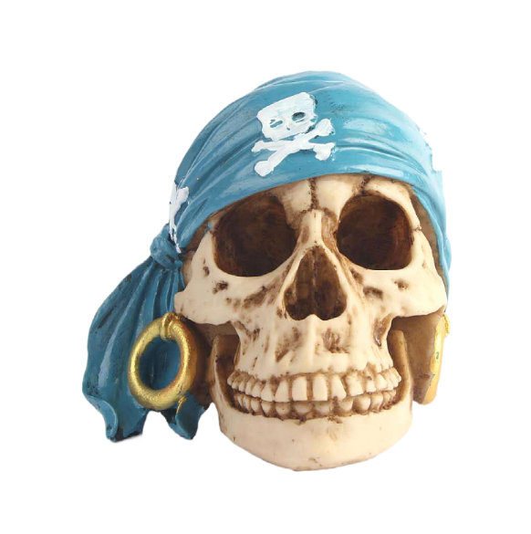 Pirate Skull Decor With Distressed Gold Hoop Accents