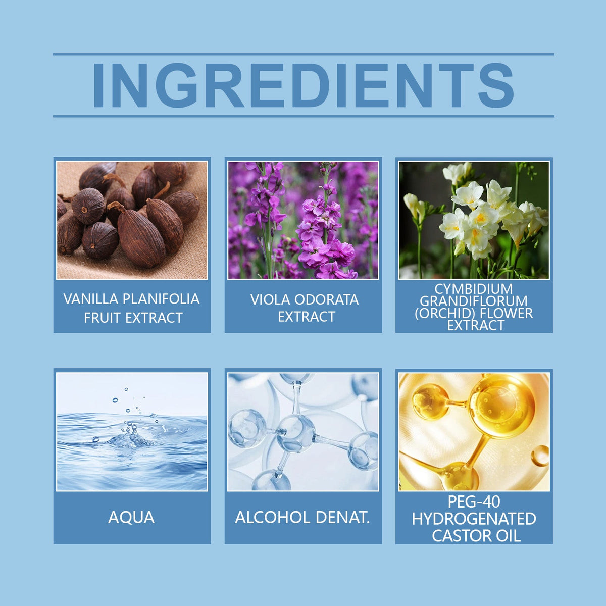 Orchid Body Fragrance Spray for Elegant Daily Wear