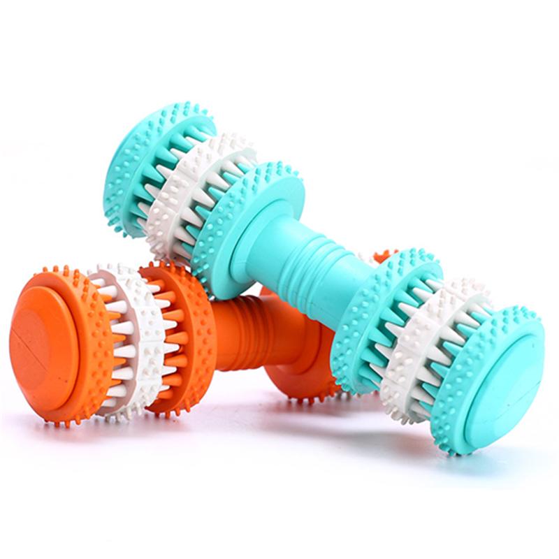 Molar Dumbbell Dog Chew Toy for Teeth Cleaning and Play