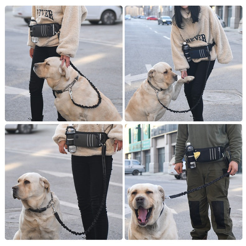 Hands-Free Dog Walking Waist Bag With Shock Absorber