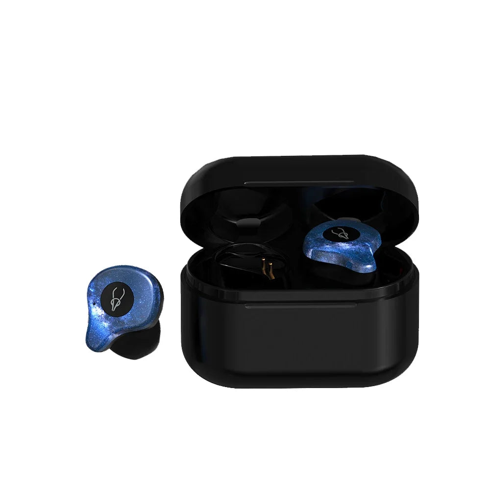 Wireless Earbuds with Bluetooth 5.0 and Charging Case