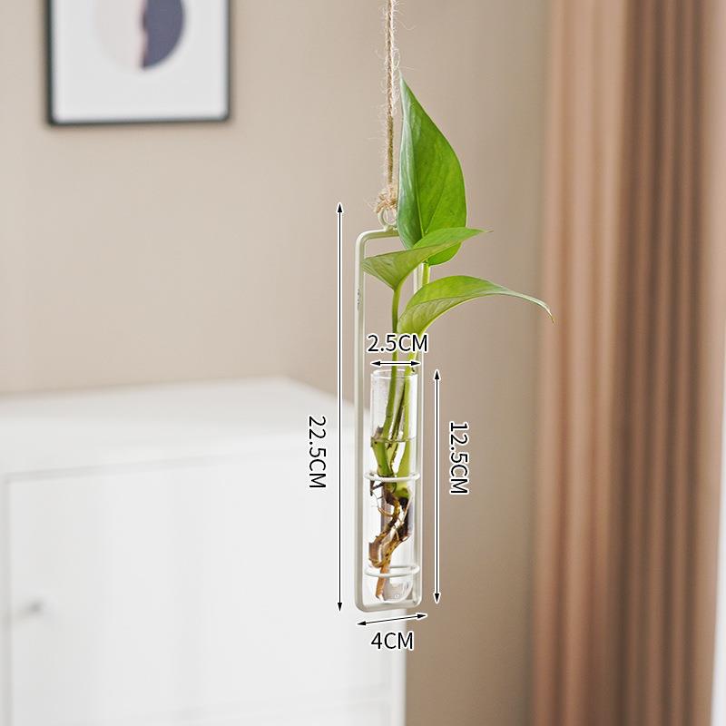 Glass Hydroponic Vase for Stylish Wall Plant Display