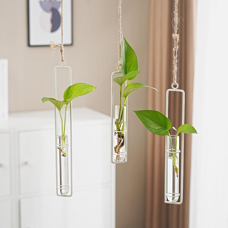 Glass Hydroponic Vase for Stylish Wall Plant Display