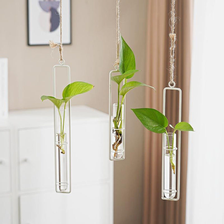Glass Hydroponic Vase for Stylish Wall Plant Display