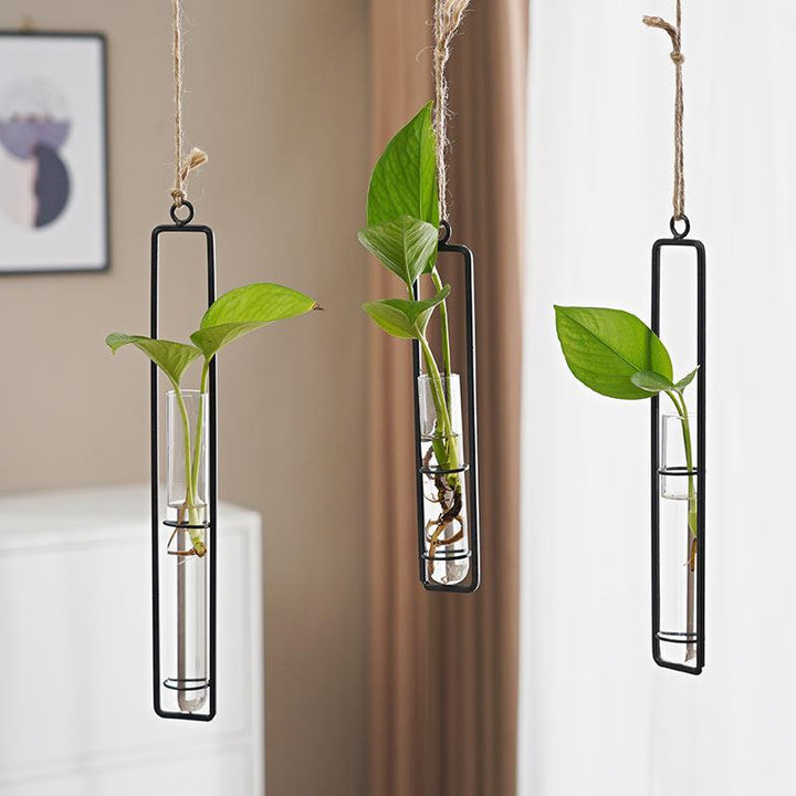 Glass Hydroponic Vase for Stylish Wall Plant Display