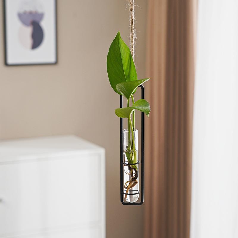 Glass Hydroponic Vase for Stylish Wall Plant Display