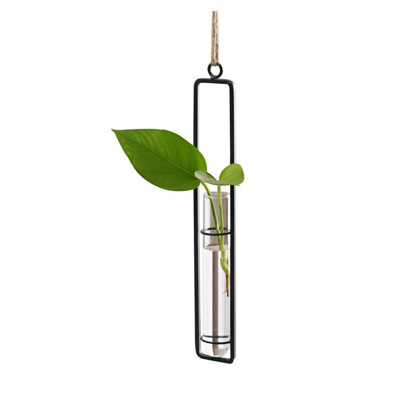 Glass Hydroponic Vase for Stylish Wall Plant Display