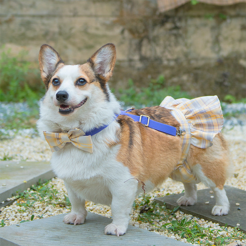 Dog Period Skirt With Secure Coverage and Matching Bow