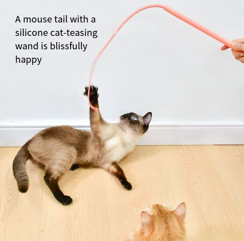 Silicone Cat Teaser Wand for Active Indoor Cat Play