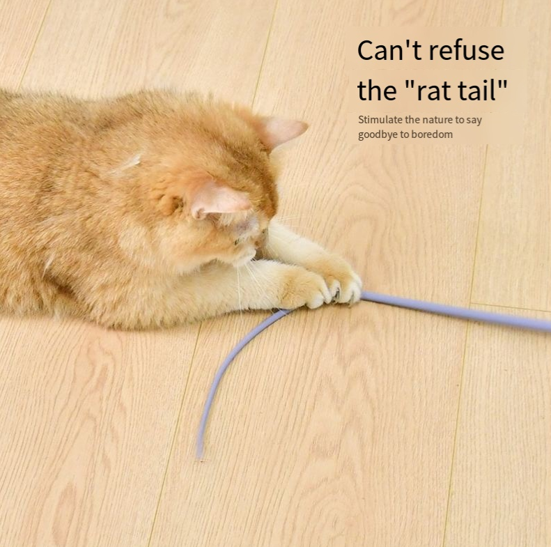 Silicone Cat Teaser Wand for Active Indoor Cat Play