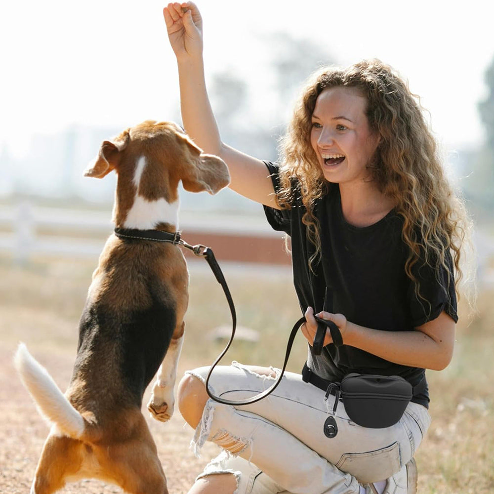 Silicone Dog Treat Pouch for Hands-Free Dog Training