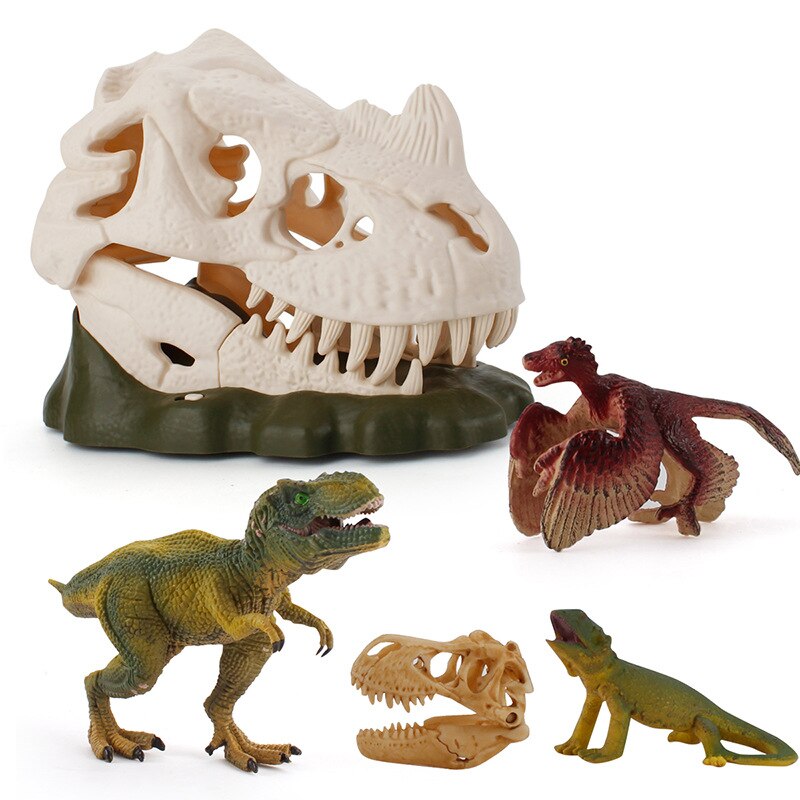 Interactive Dinosaur Skull Display With Light & Sound