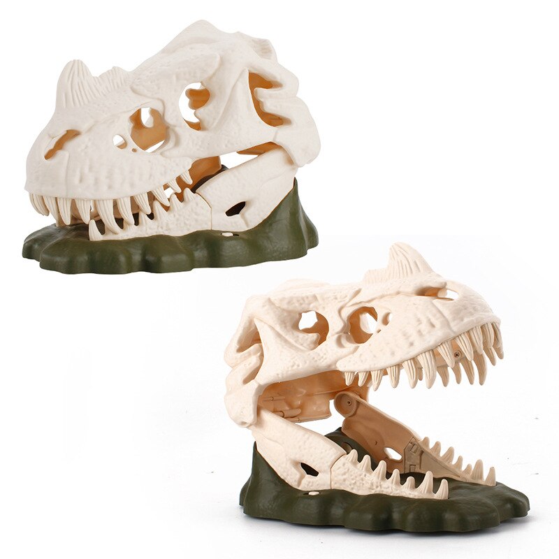 Interactive Dinosaur Skull Display With Light & Sound
