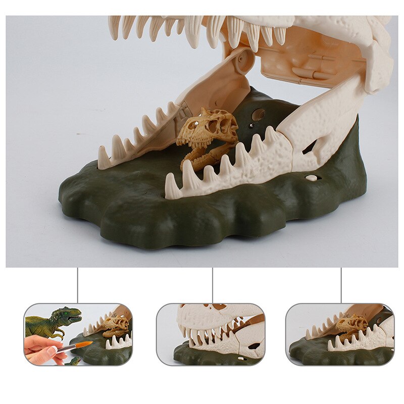 Interactive Dinosaur Skull Display With Light & Sound