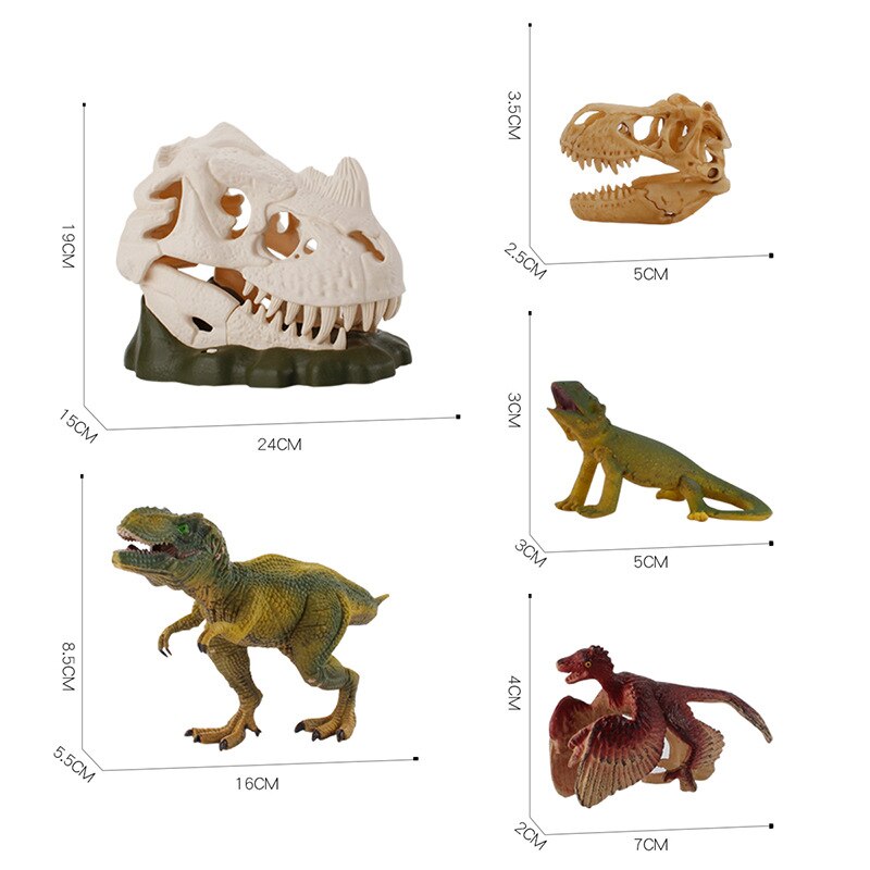 Interactive Dinosaur Skull Display With Light & Sound