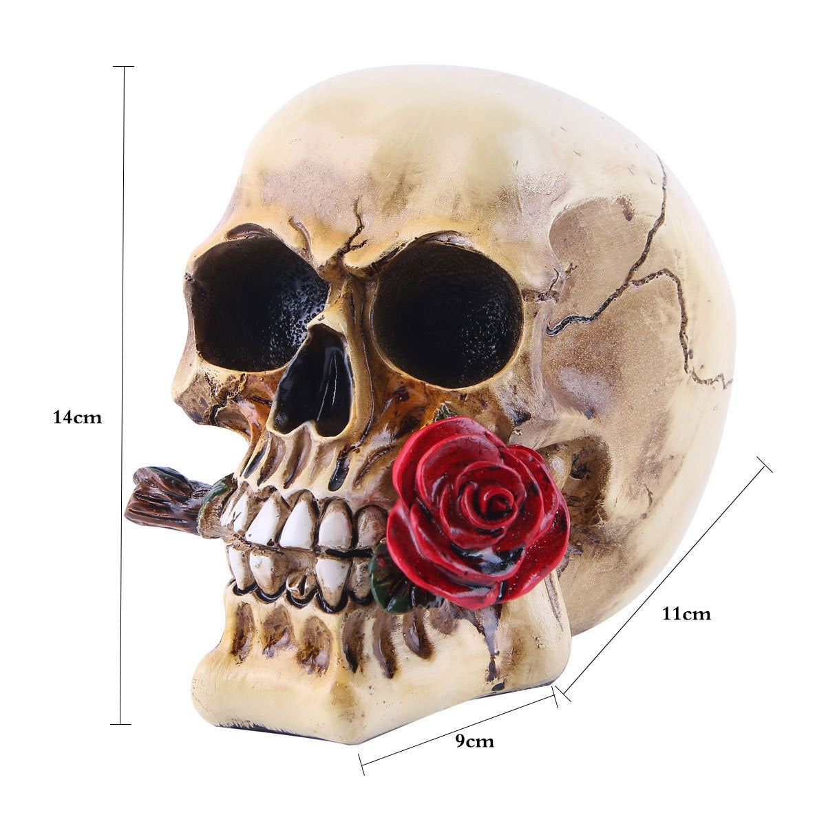 Gothic Skull Ornament With Crimson Rose Shelf Decor