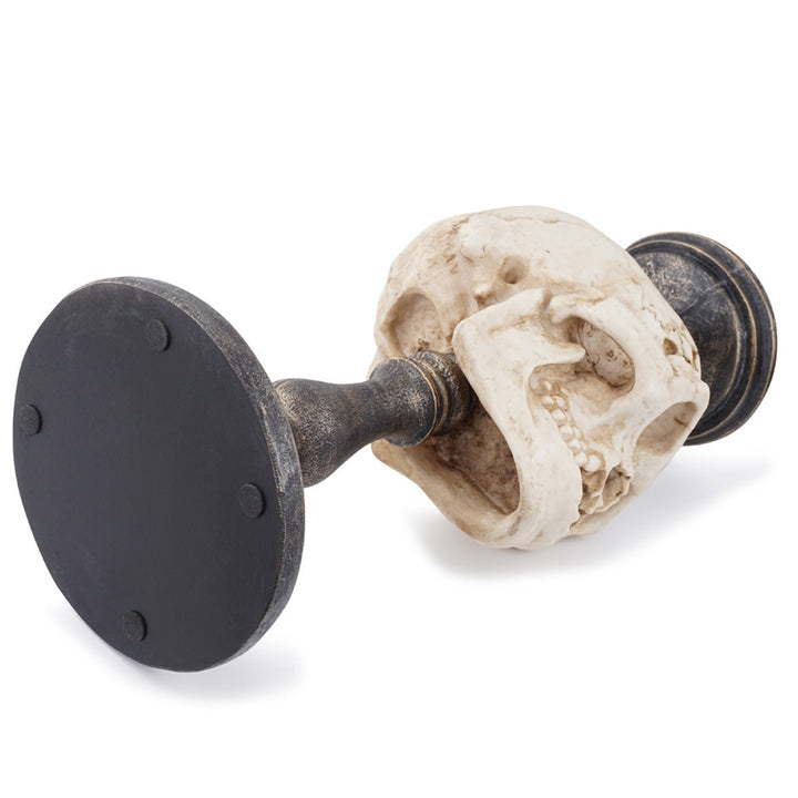 Gothic Skull Ornament With Antique Pedestal Decor
