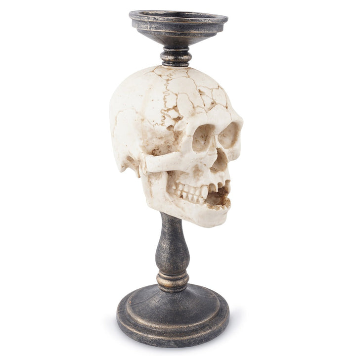 Gothic Skull Ornament With Antique Pedestal Decor