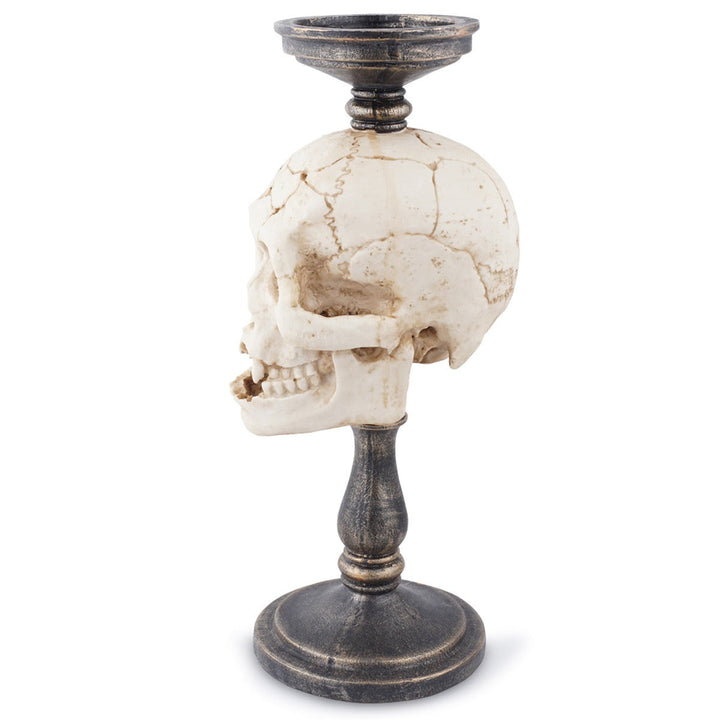 Gothic Skull Ornament With Antique Pedestal Decor