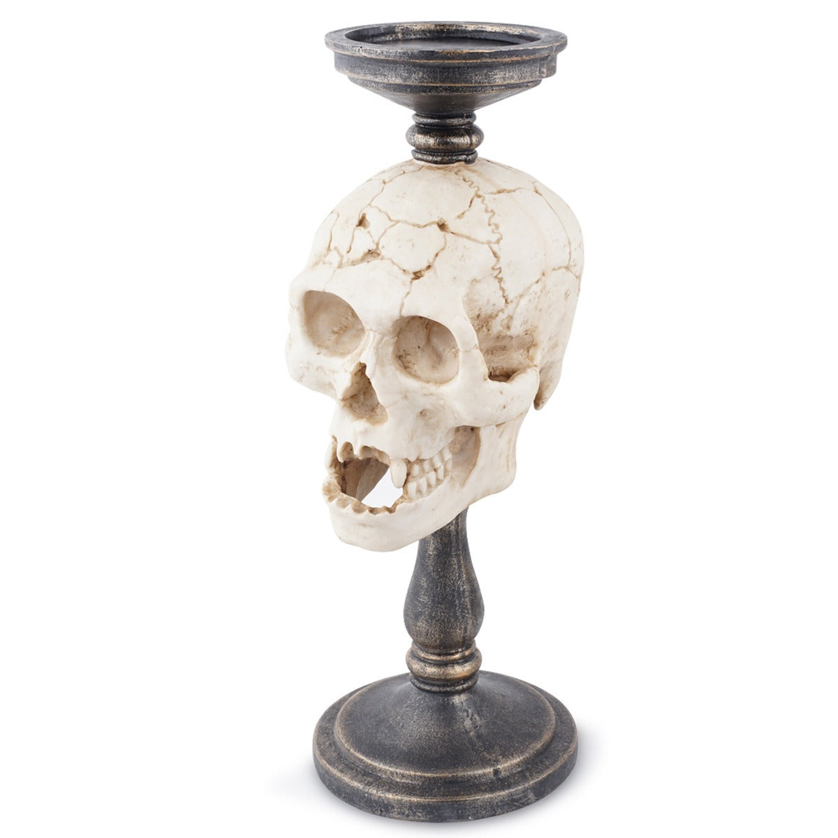 Gothic Skull Ornament With Antique Pedestal Decor