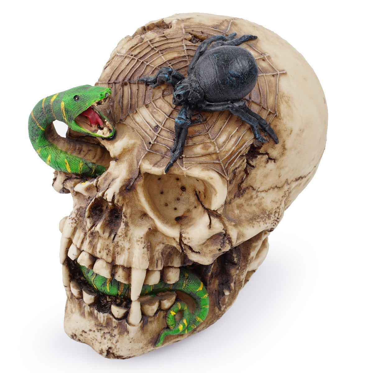 Skeleton Skull Snake Ornament | Gothic Decor Centerpiece