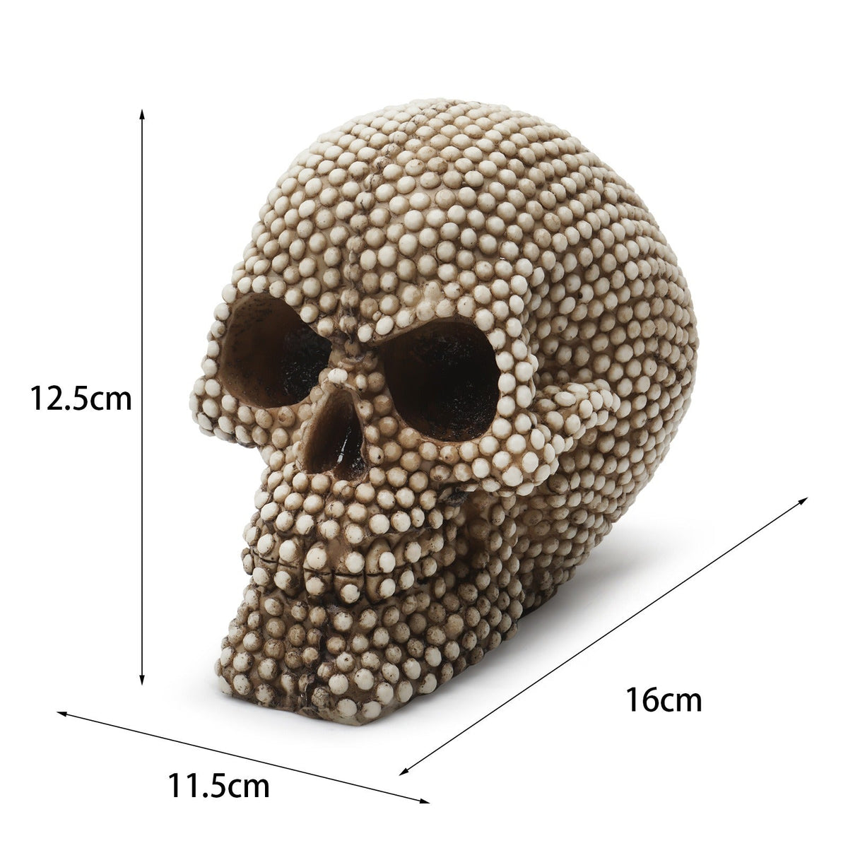 Textured Skull Ornament for Dramatic Gothic Decor
