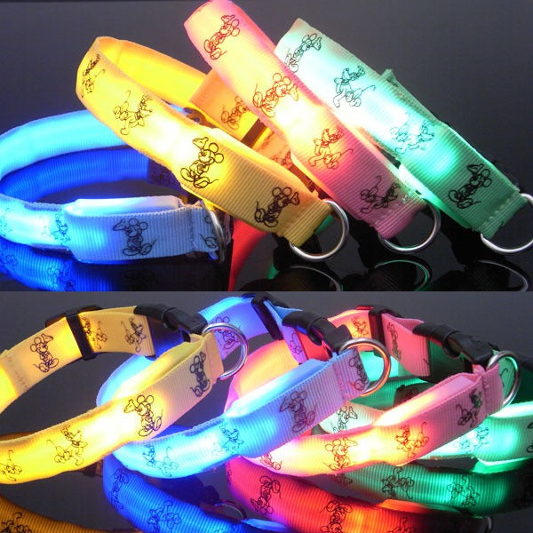 LED Dog Collar for Small Dogs Nighttime Visibility