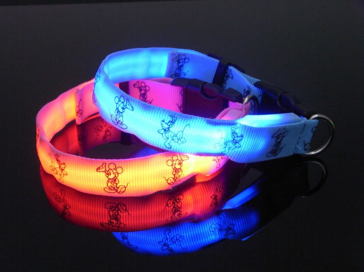LED Dog Collar for Small Dogs Nighttime Visibility