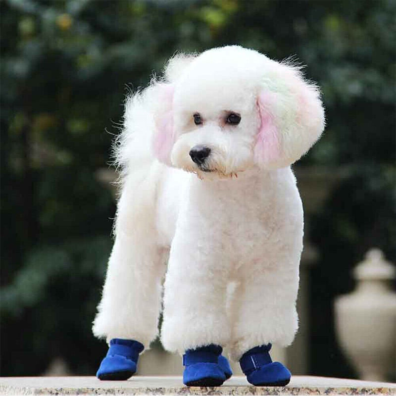 Small Dog Winter Boots for Warm, Sure-Footed Walks
